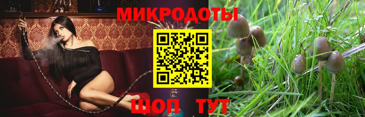 магазин    Галлюциногенные грибы мухоморы  Псилоцибиновые грибы мицелий  Вход с VPN  Славянск-на-Кубани 