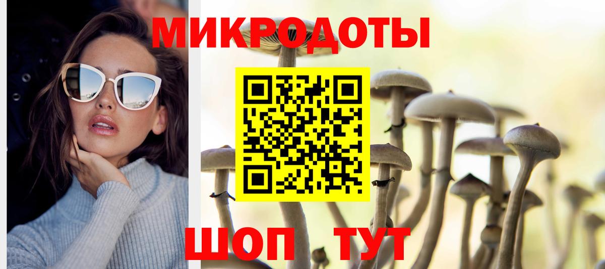 Галлюциногенные грибы мухоморы Славянск-на-Кубани